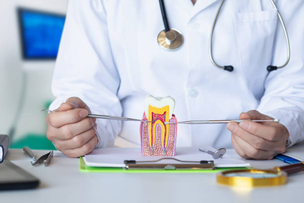 Best Emergency Orthodontic Services in East Camden, AR